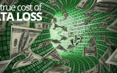 Do You Know the True Cost of Data Loss?