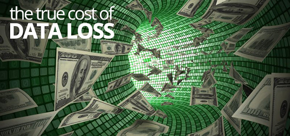 Do You Know the True Cost of Data Loss?